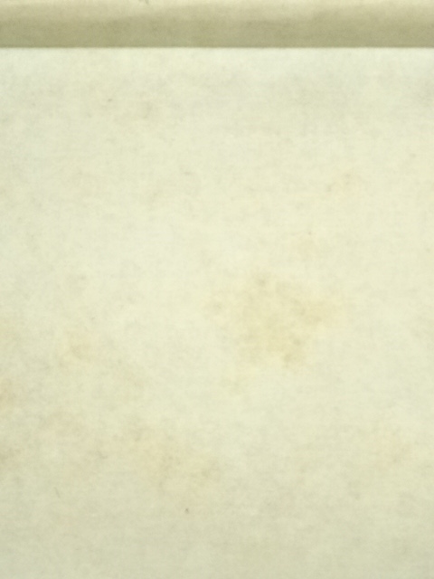 道具 ] - 道具 千利休 「妙」 印刷工芸品 紙本掛軸（共箱） | ネット